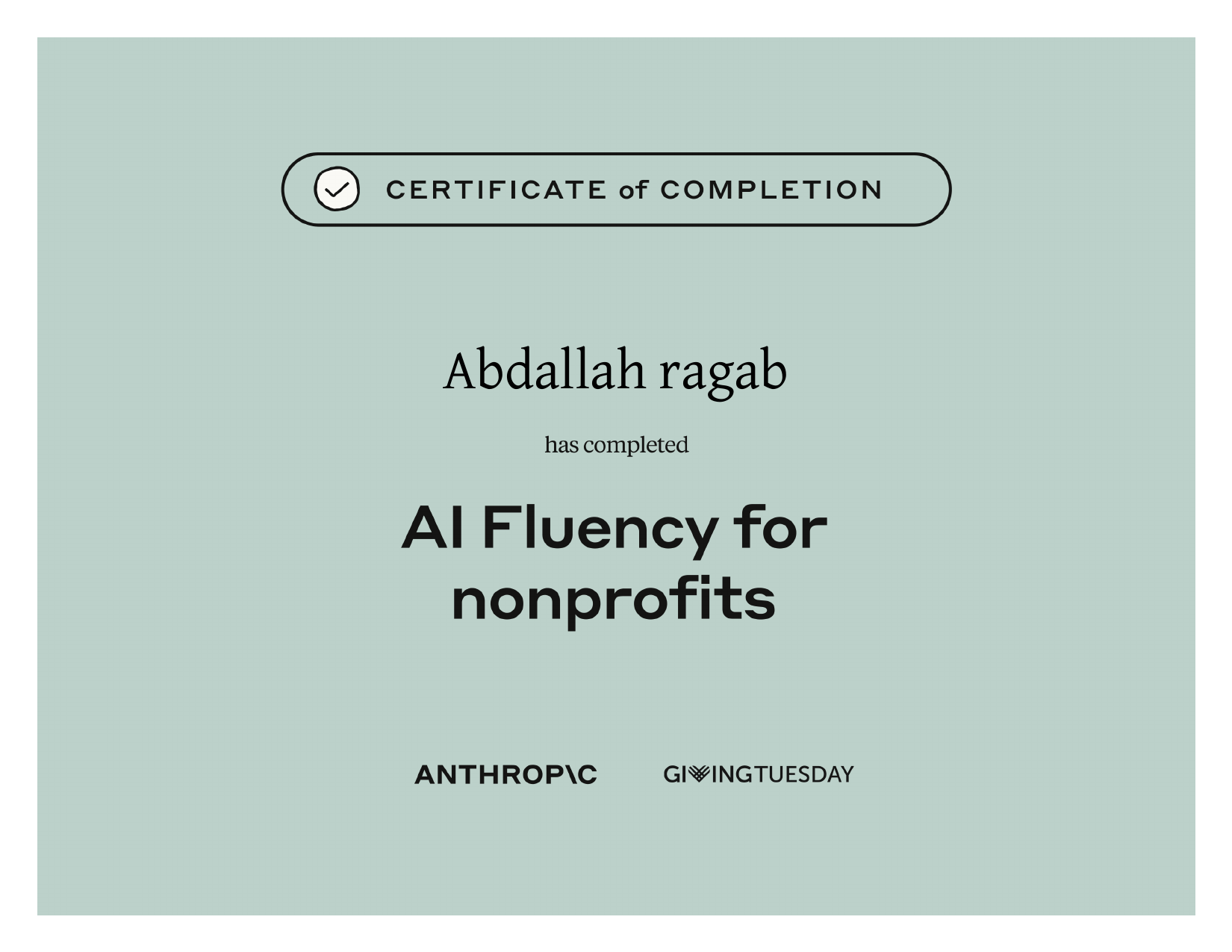 AI Fluency for nonprofits — Anthropic